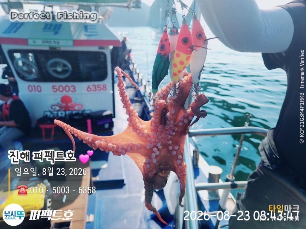 낚시뚜,돌문어,진해 수치마을 방파제,퍼펙트호,낚시뚜13
