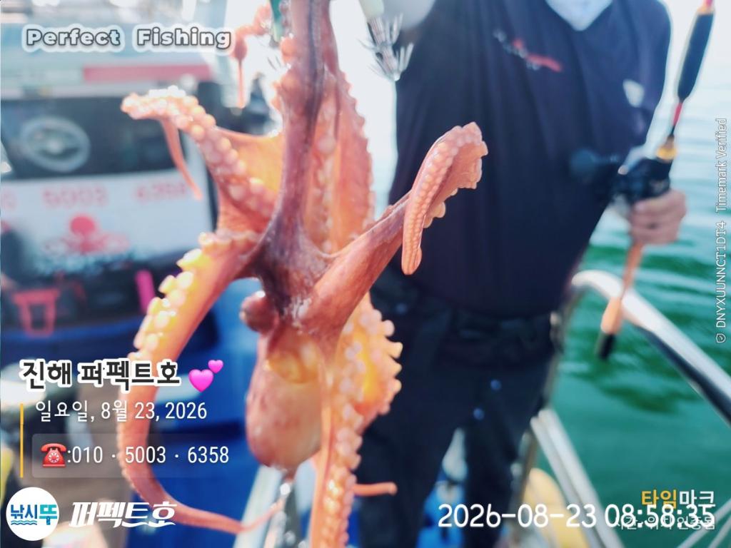 낚시뚜,돌문어,진해 수치마을 방파제,퍼펙트호,낚시뚜12