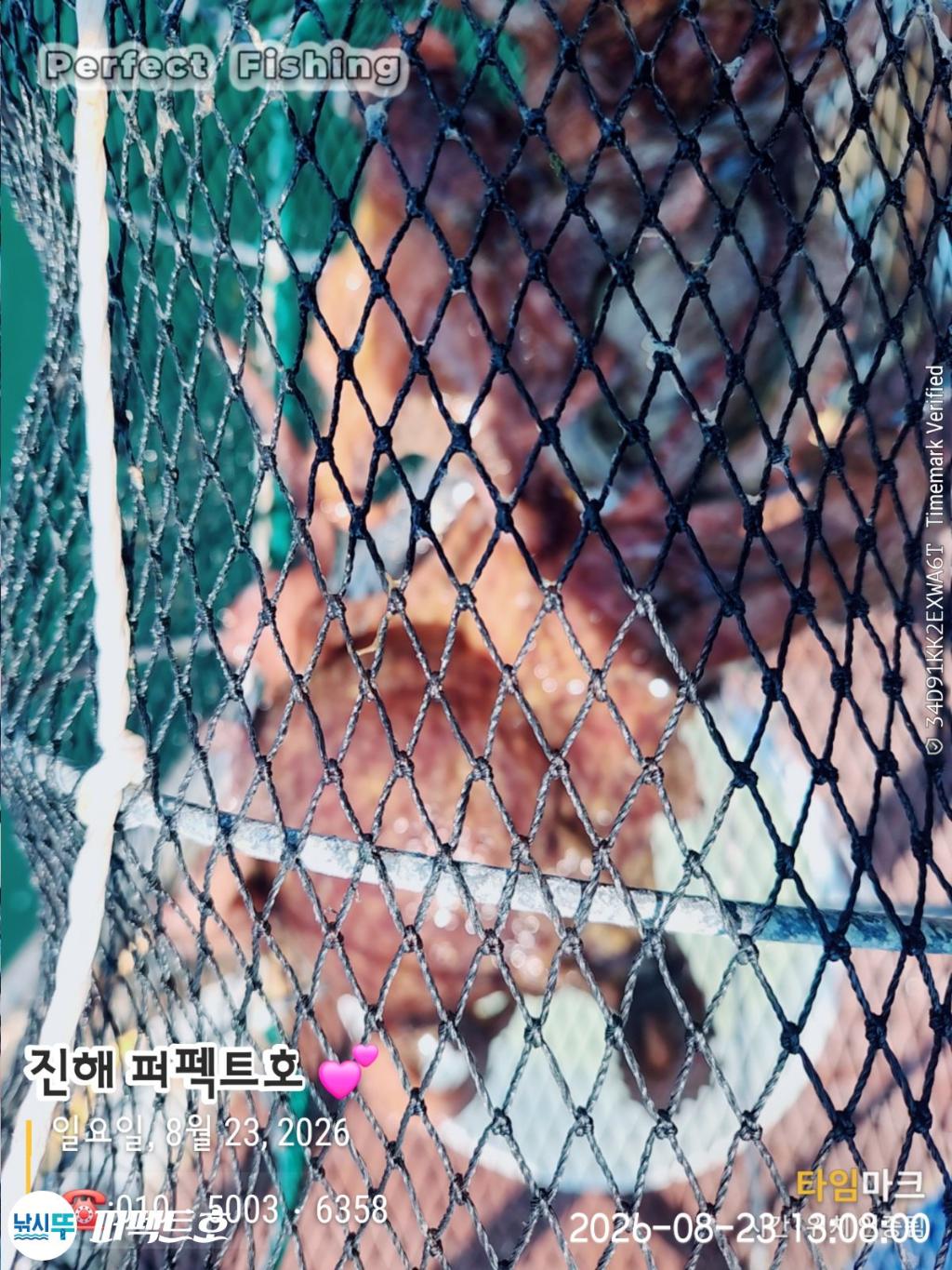 낚시뚜,돌문어,진해 수치마을 방파제,퍼펙트호,낚시뚜4