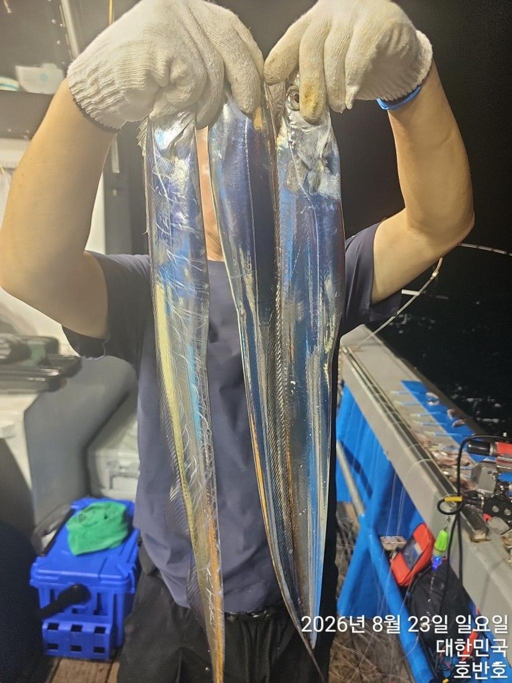 낚시뚜,갈치,통영 신전항,통영호반호,낚시뚜6