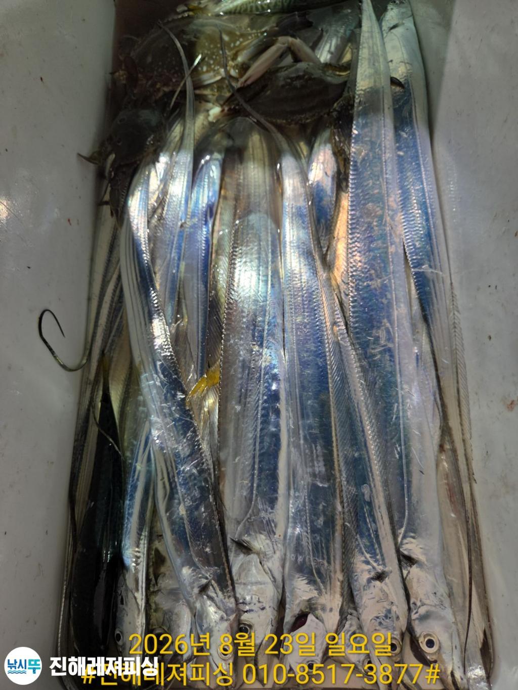 낚시뚜,갈치,진해1부두항,진해레져피싱,낚시뚜27