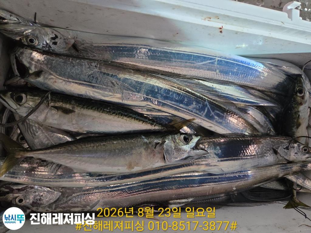 낚시뚜,갈치,진해1부두항,진해레져피싱,낚시뚜22