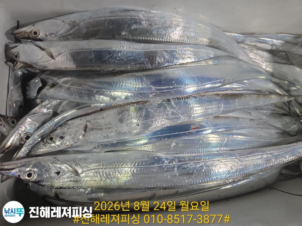 낚시뚜,갈치,진해1부두항,진해레져피싱,낚시뚜16