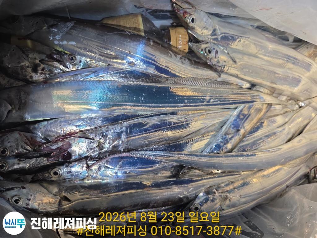 낚시뚜,갈치,진해1부두항,진해레져피싱,낚시뚜11
