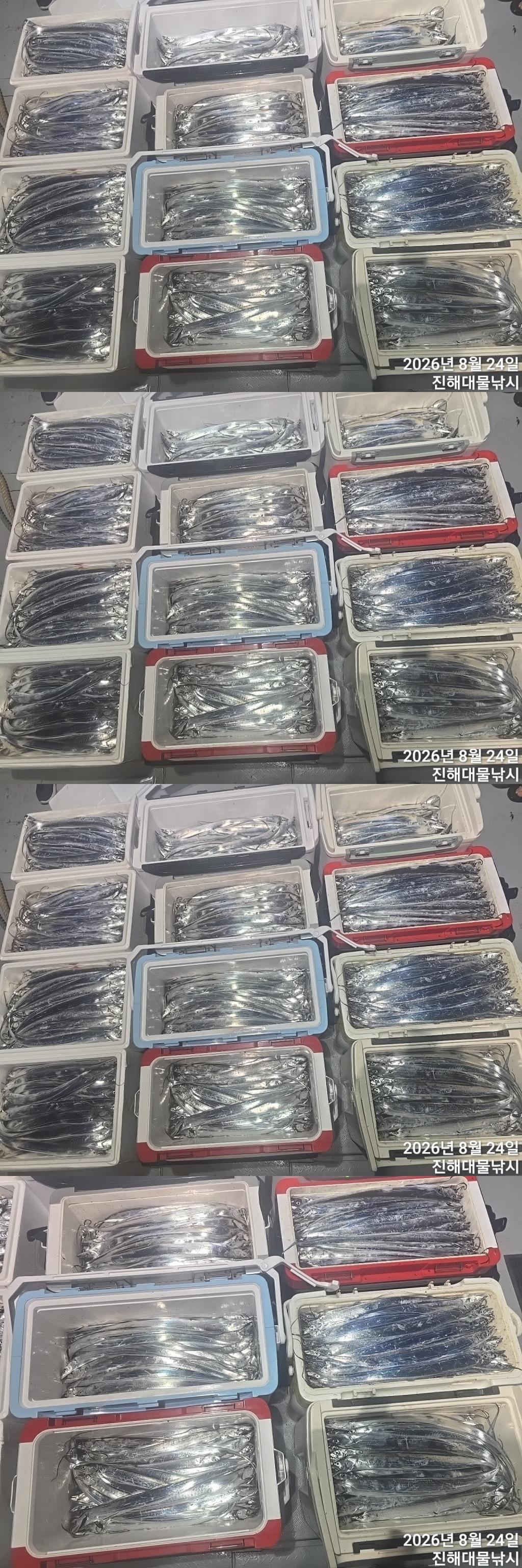낚시뚜,갈치,진해1부두항,진해대물낚시,낚시뚜0