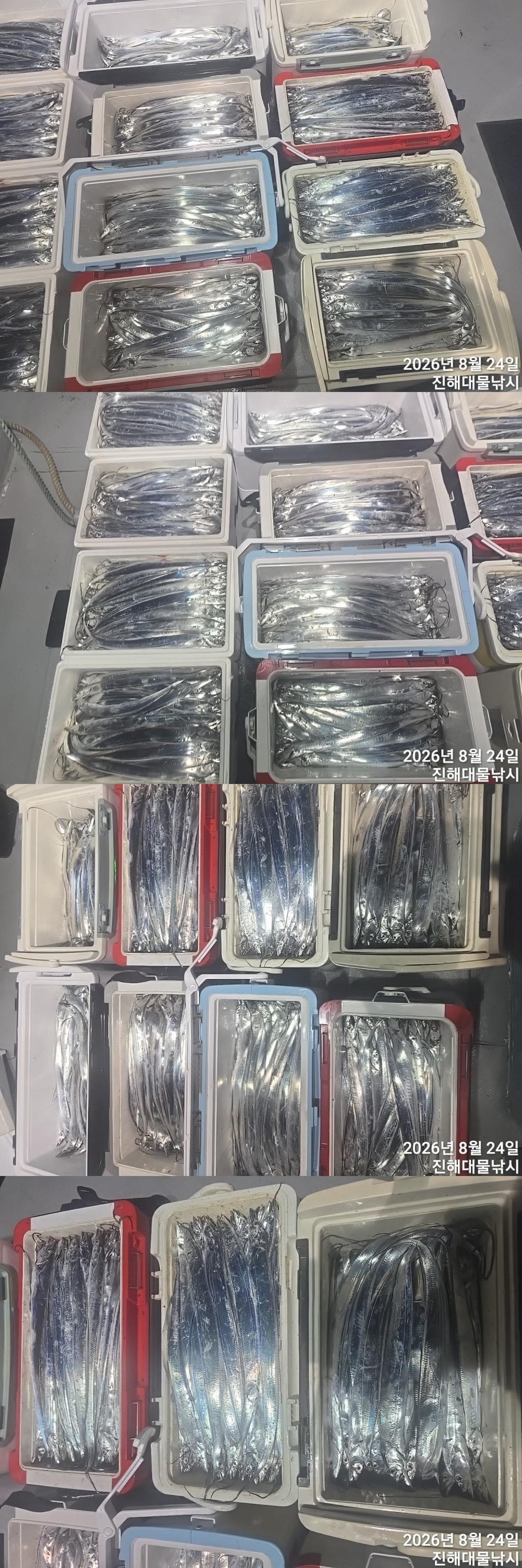 낚시뚜,갈치,진해1부두항,진해대물낚시,낚시뚜1