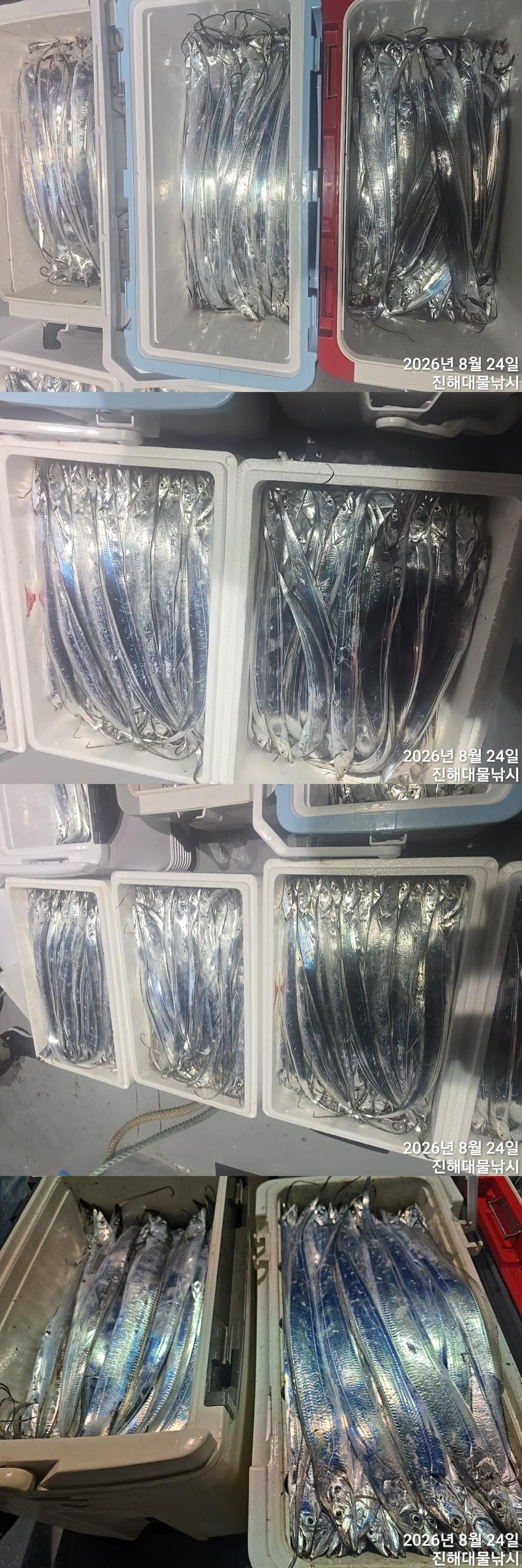 낚시뚜,갈치,진해1부두항,진해대물낚시,낚시뚜2