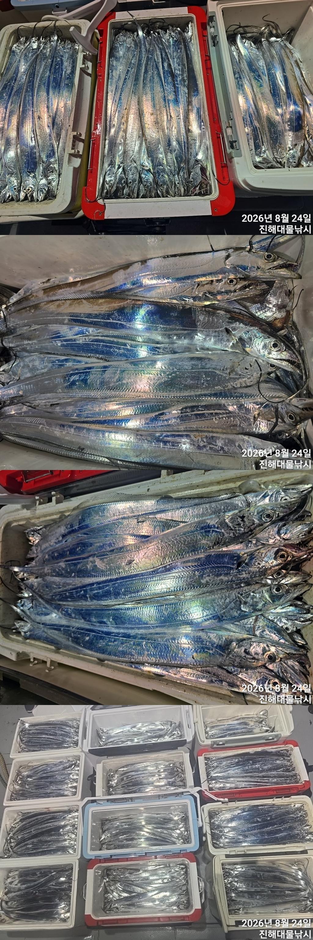 낚시뚜,갈치,진해1부두항,진해대물낚시,낚시뚜5