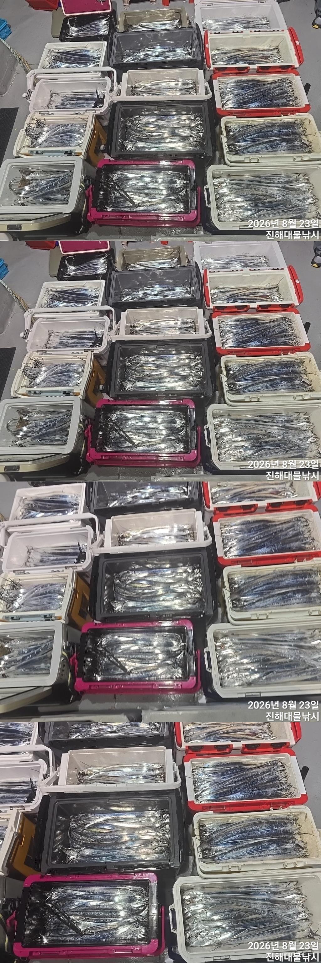 낚시뚜,갈치,진해1부두항,진해대물낚시,낚시뚜8
