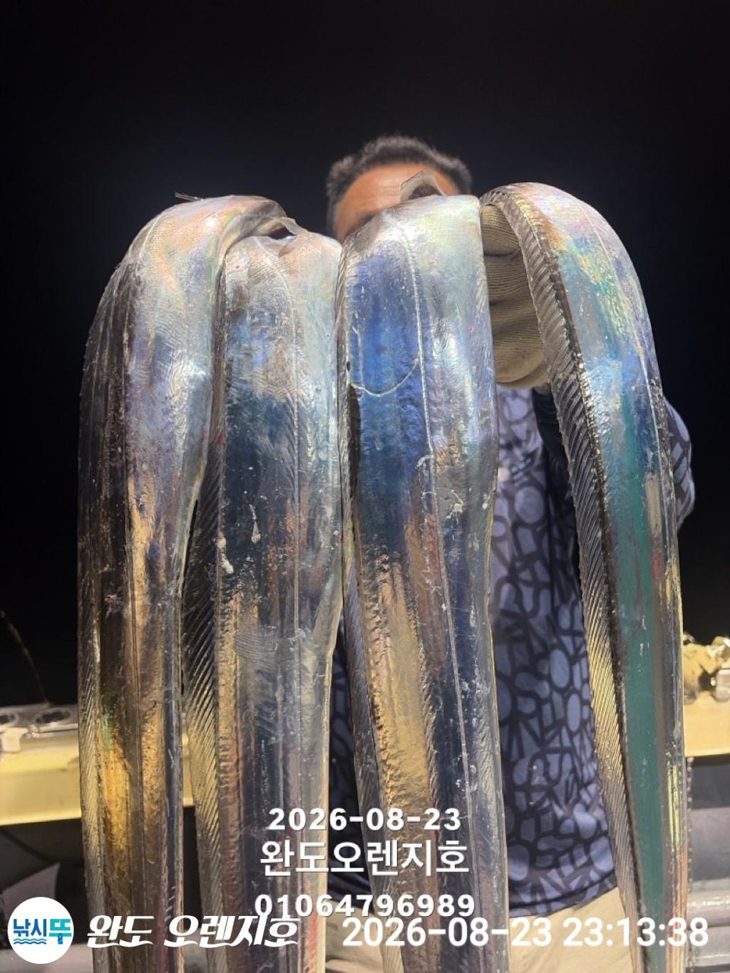 낚시뚜,갈치,완도항,완도 오렌지호,낚시뚜20