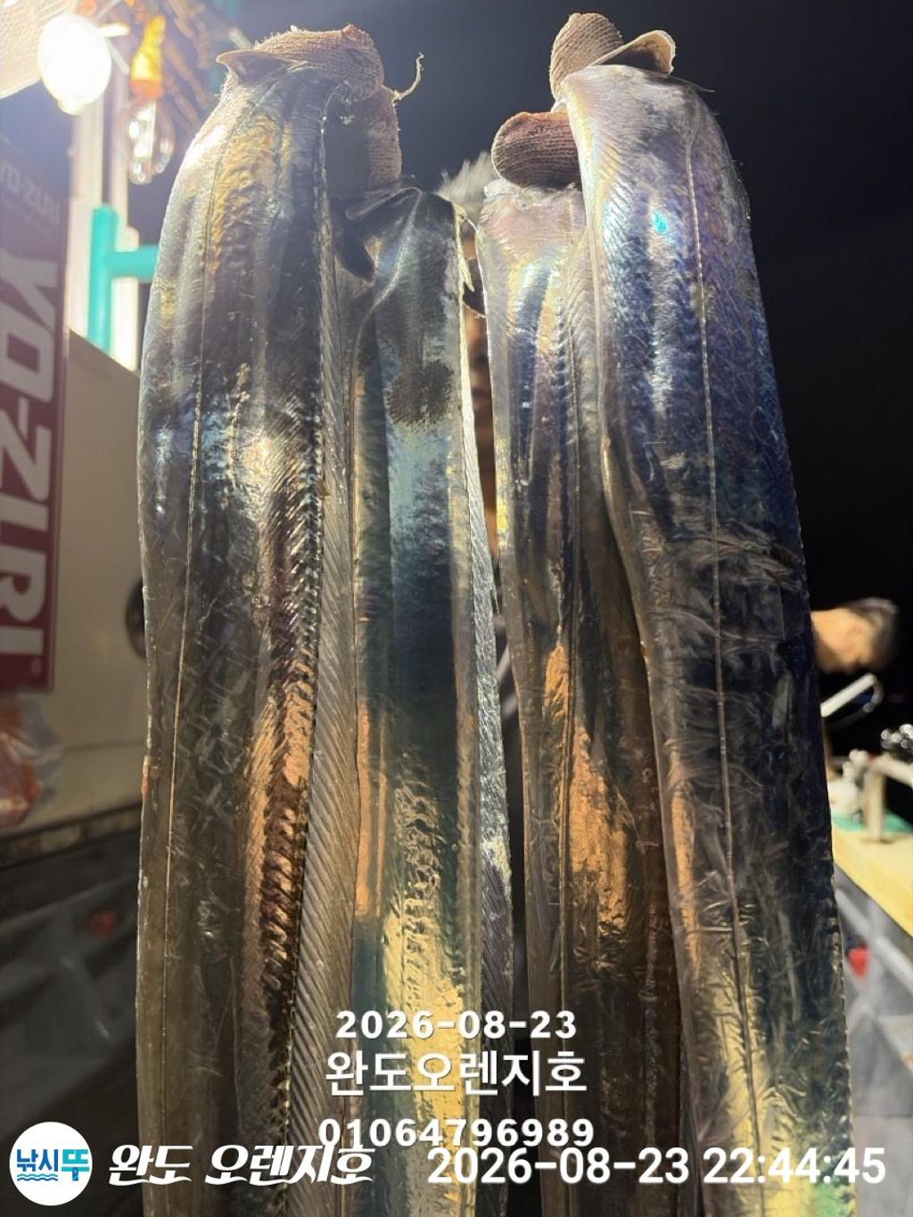 낚시뚜,갈치,완도항,완도 오렌지호,낚시뚜11