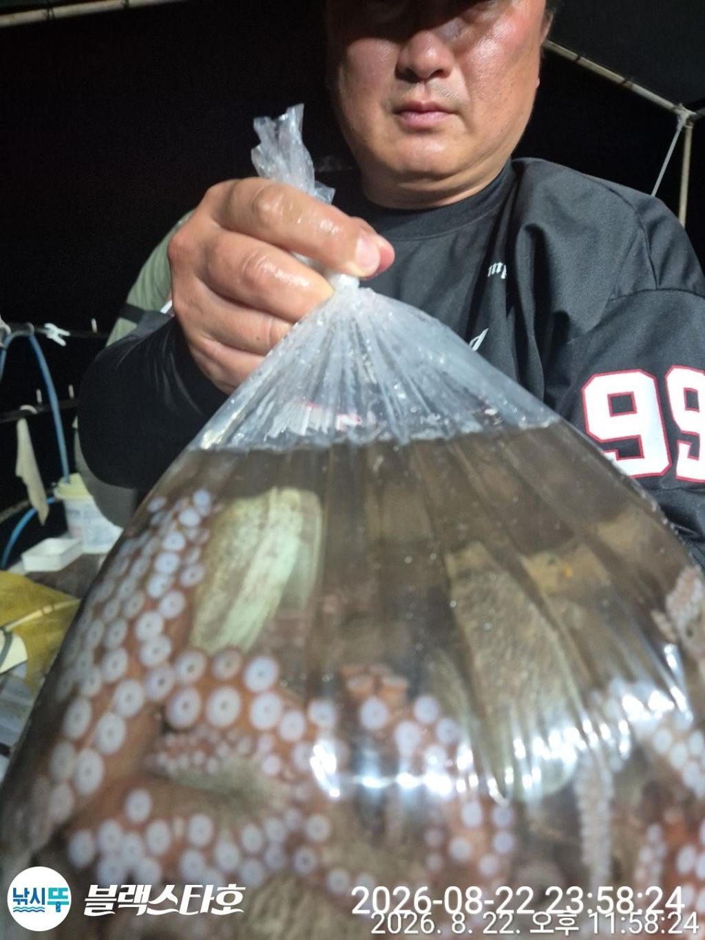 낚시뚜,돌문어,삼천포 팔포항,삼천포 블랙스타,낚시뚜6