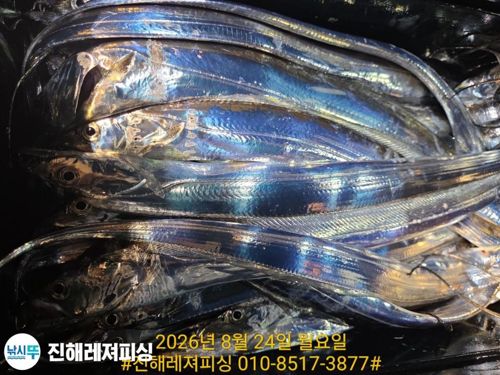 낚시뚜,갈치,진해1부두항,진해레져피싱,낚시뚜11
