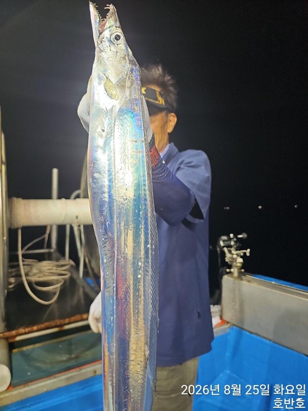 낚시뚜,갈치,통영 신전항,통영호반호,낚시뚜10