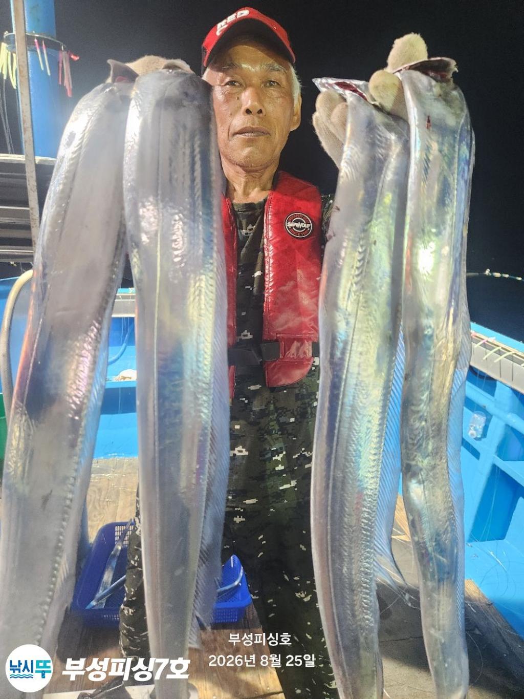 낚시뚜,갈치,통영영운리항,부성피싱7호,낚시뚜7