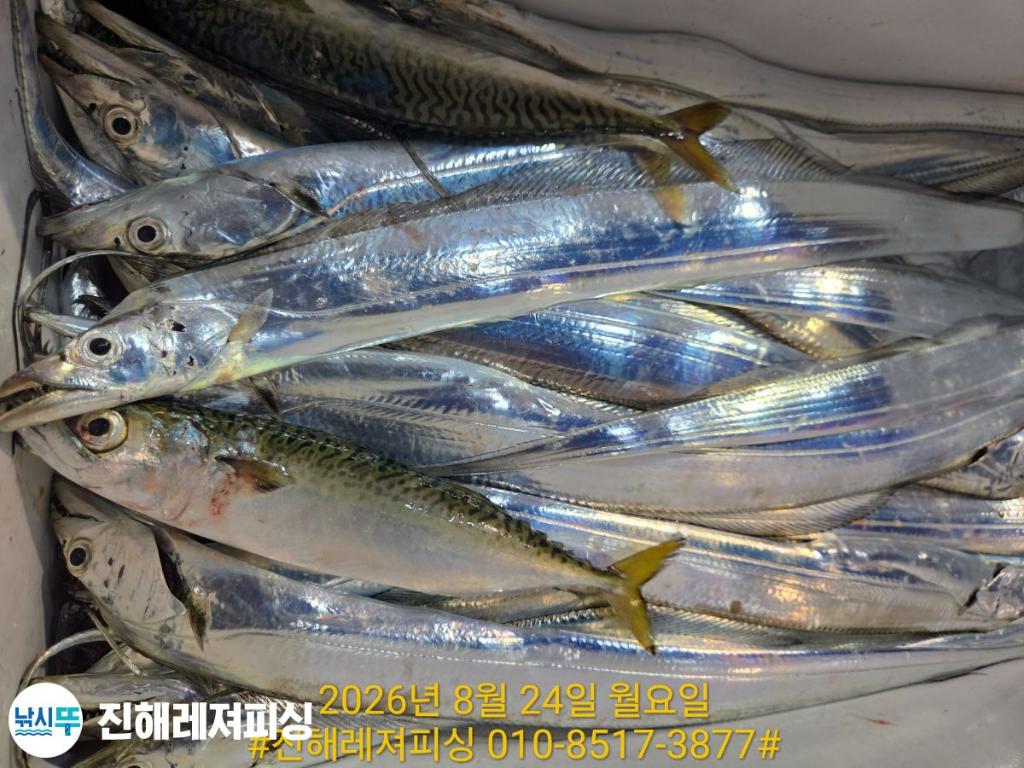 낚시뚜,갈치,진해1부두항,진해레져피싱,낚시뚜20