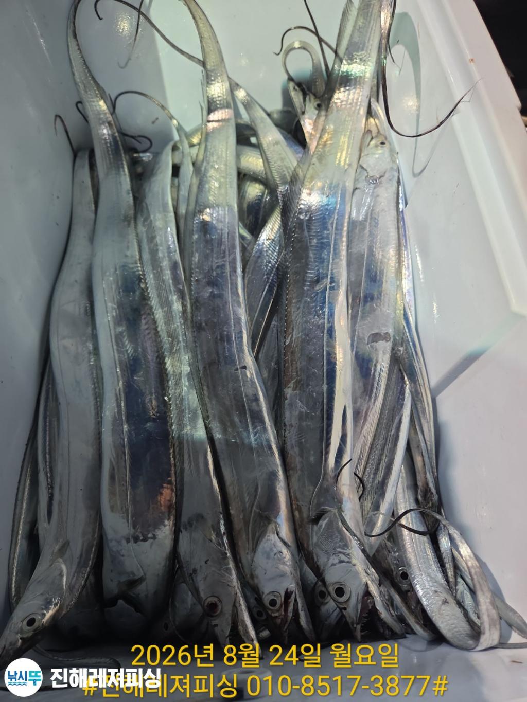 낚시뚜,갈치,진해1부두항,진해레져피싱,낚시뚜17
