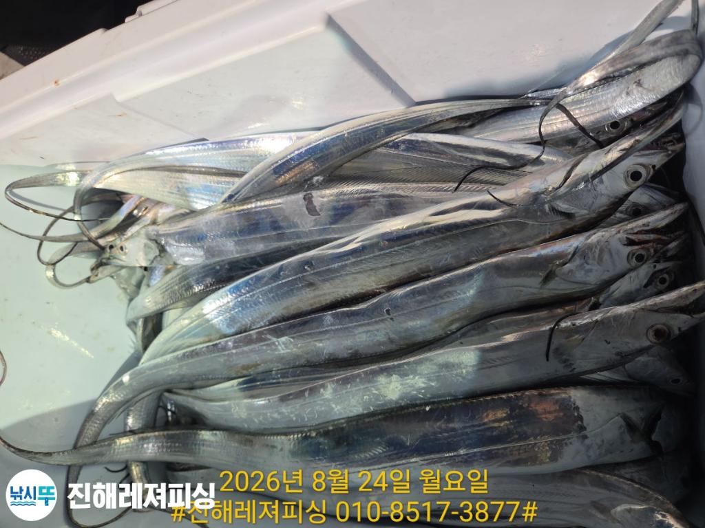 낚시뚜,갈치,진해1부두항,진해레져피싱,낚시뚜16