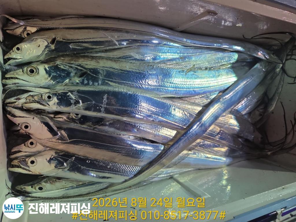 낚시뚜,갈치,진해1부두항,진해레져피싱,낚시뚜15