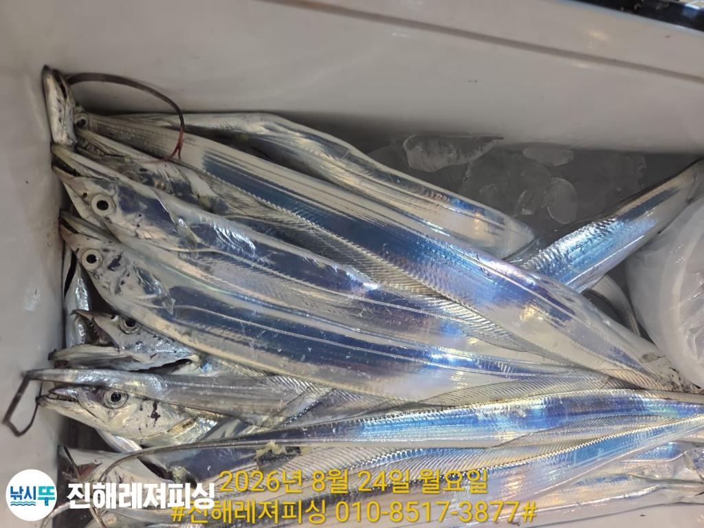 낚시뚜,갈치,진해1부두항,진해레져피싱,낚시뚜13