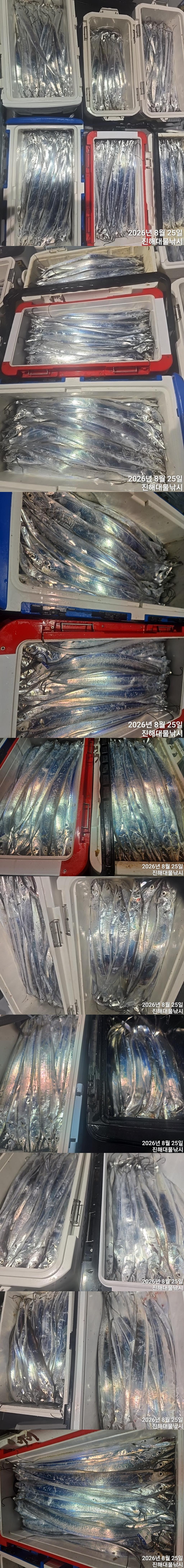 낚시뚜,갈치,진해1부두항,진해대물낚시,낚시뚜2