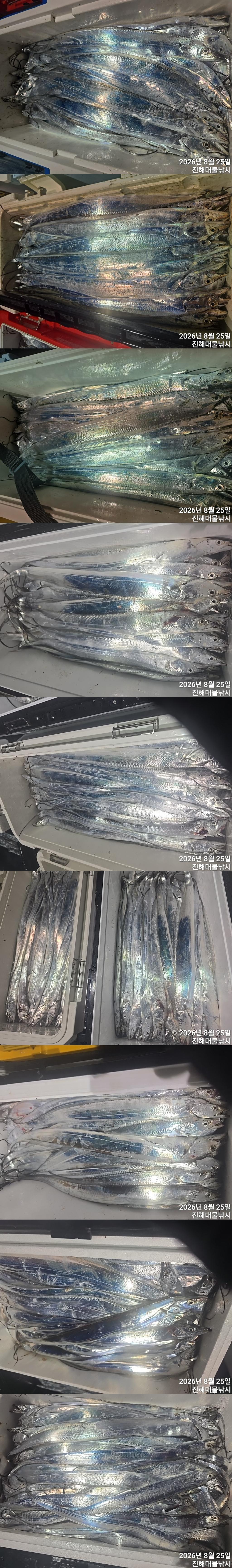 낚시뚜,갈치,진해1부두항,진해대물낚시,낚시뚜3
