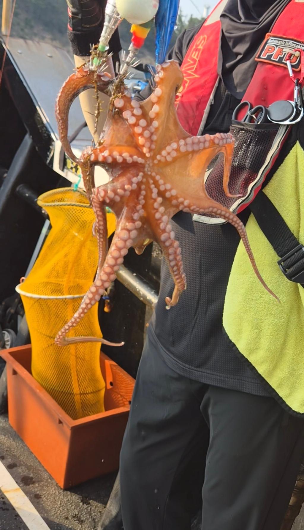 낚시뚜,돌문어,포항여남항,포항포시즌호,낚시뚜18