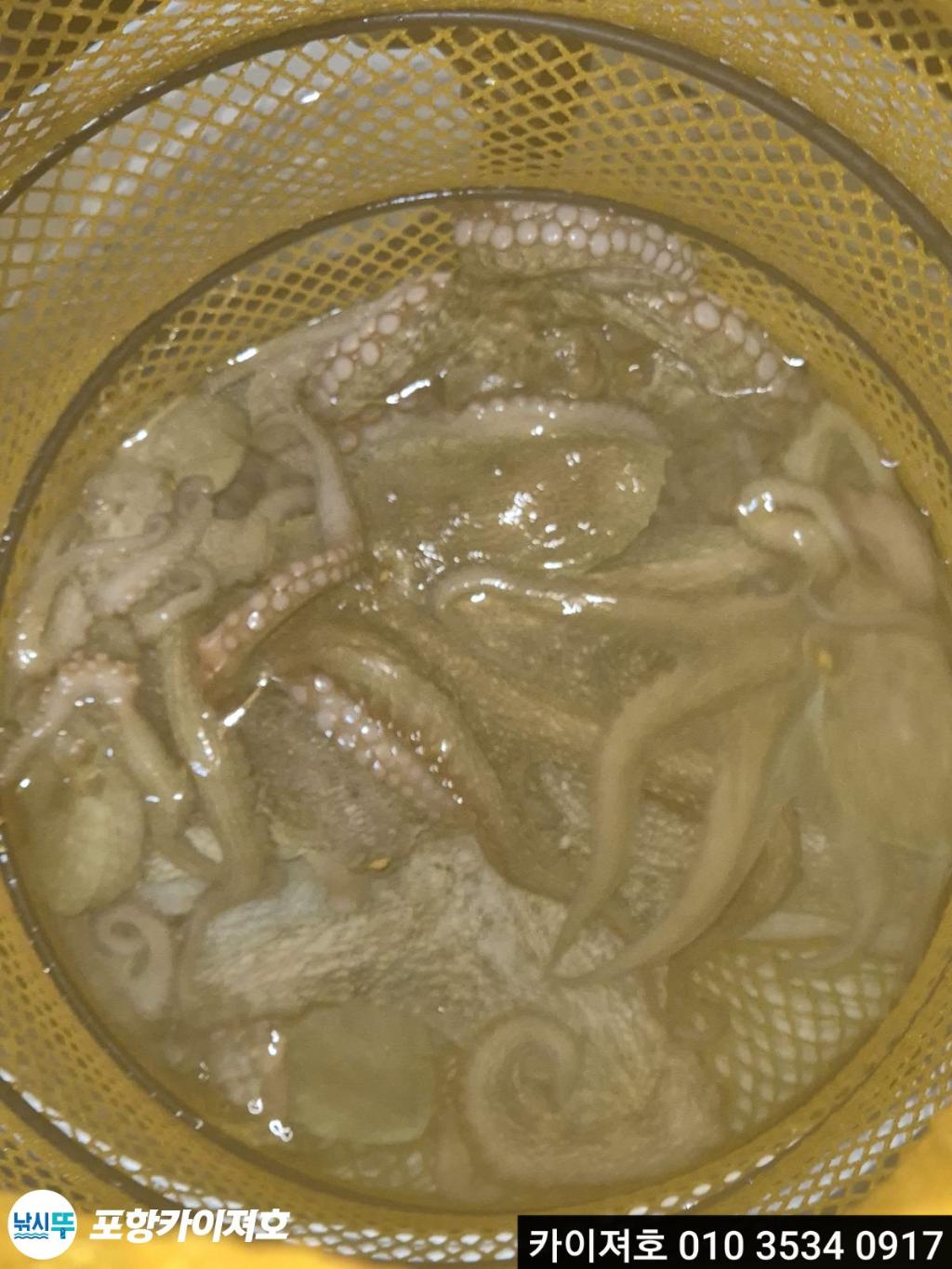 낚시뚜,기타 (직접입력),영일만항,포항카이져호,낚시뚜4