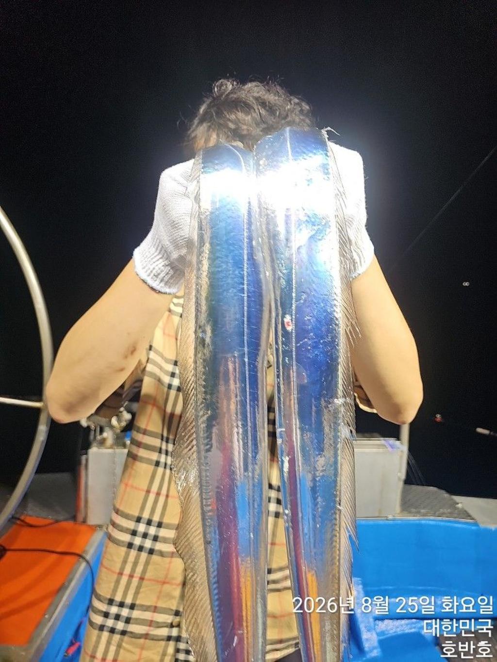 낚시뚜,갈치,통영 신전항,통영호반호,낚시뚜4
