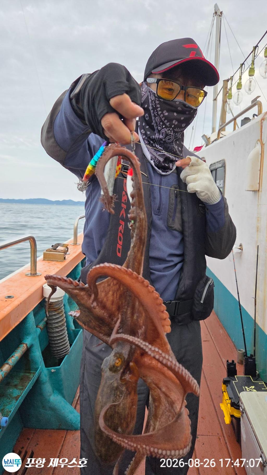낚시뚜,돌문어,영일만항,포항 제우스호,낚시뚜6