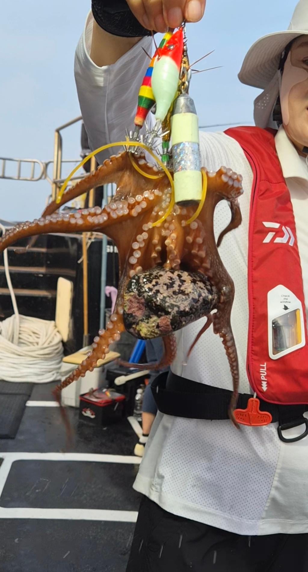낚시뚜,돌문어,포항여남항,포항포시즌호,낚시뚜15