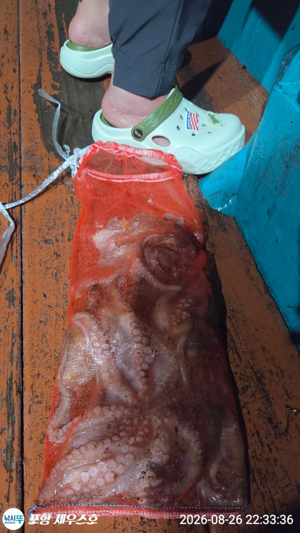 낚시뚜,돌문어,영일만항,포항 제우스호,낚시뚜36