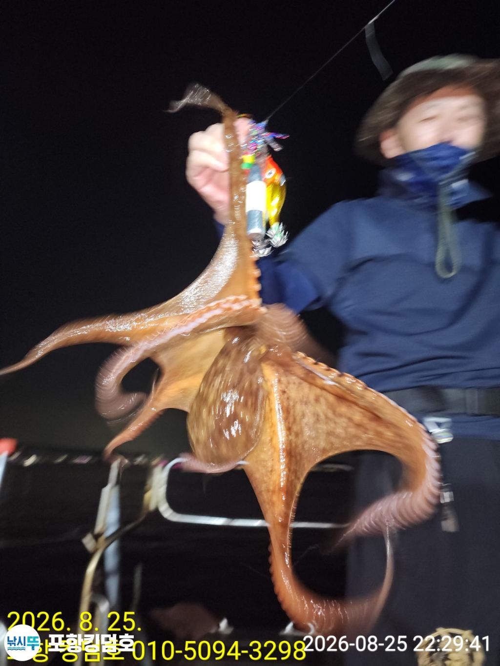 낚시뚜,돌문어,영일만항,포항 킹덤호,낚시뚜23