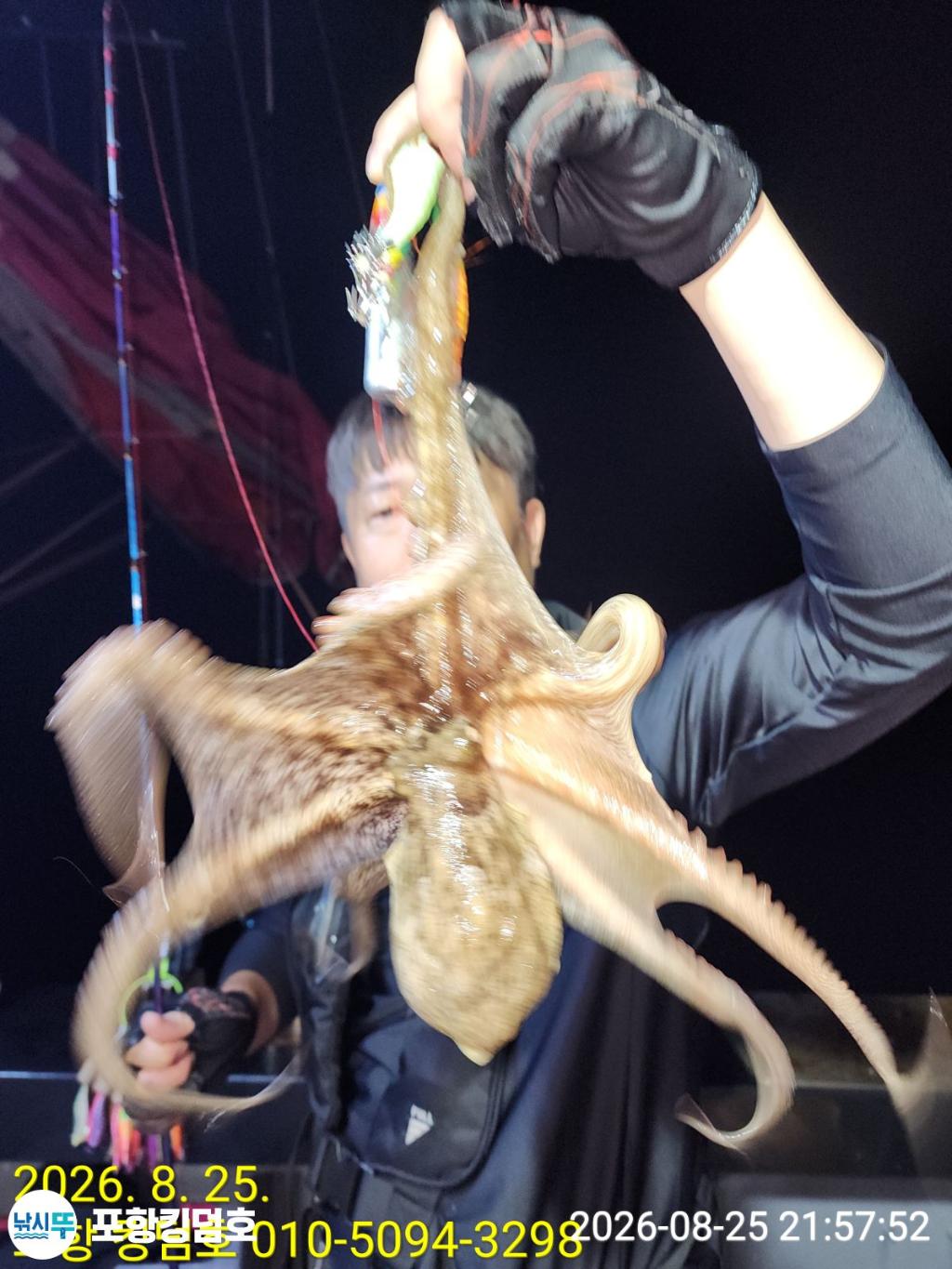 낚시뚜,돌문어,영일만항,포항 킹덤호,낚시뚜20