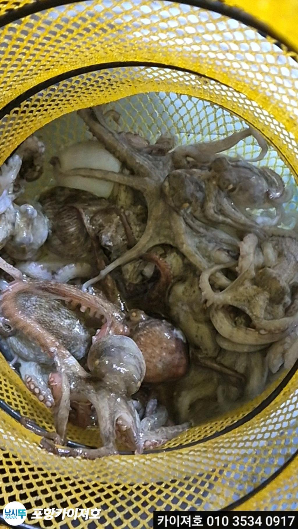 낚시뚜,기타 (직접입력),영일만항,포항카이져호,낚시뚜9
