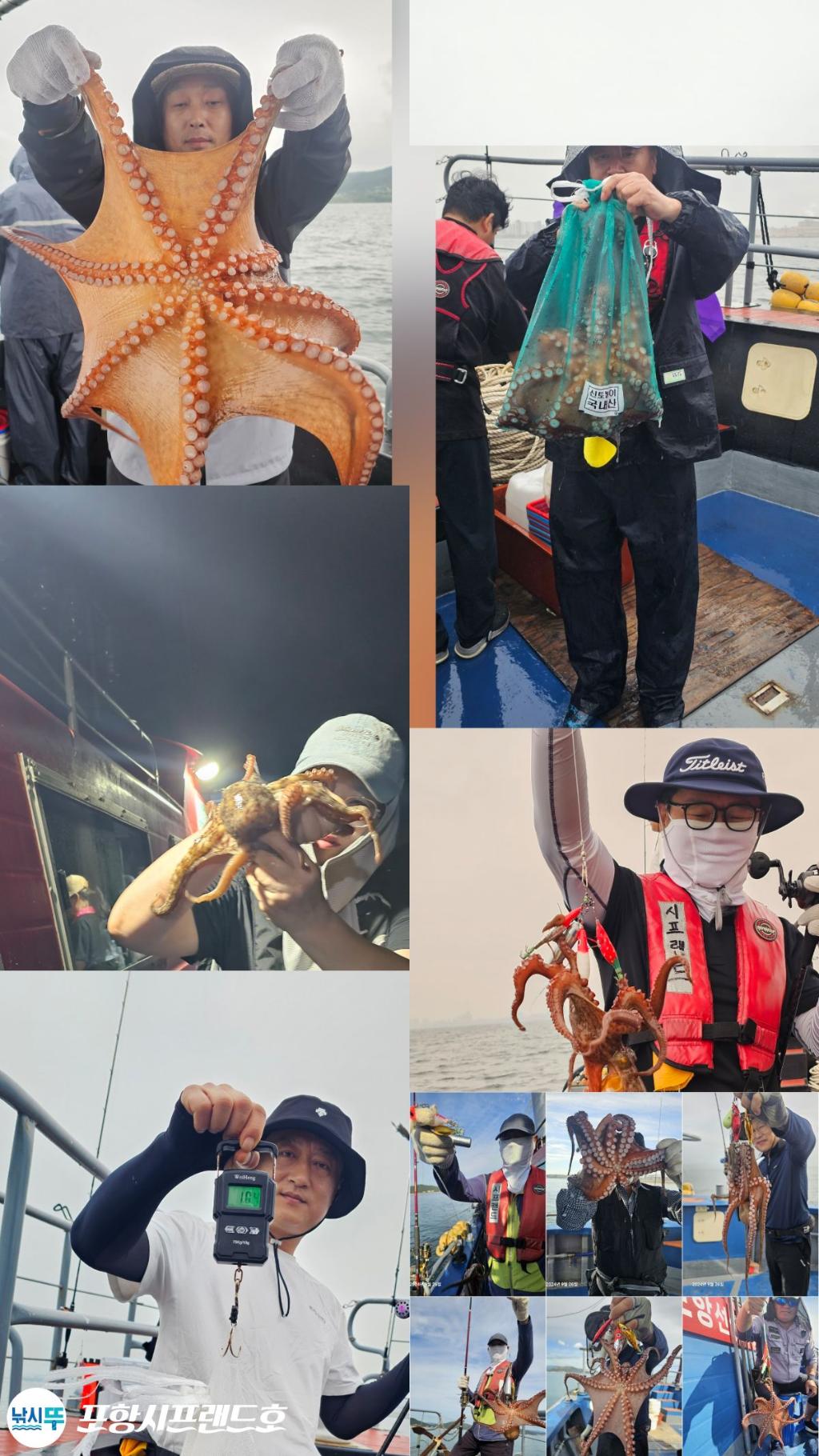 낚시뚜,돌문어,영일만항,포항시프랜드호,낚시뚜2
