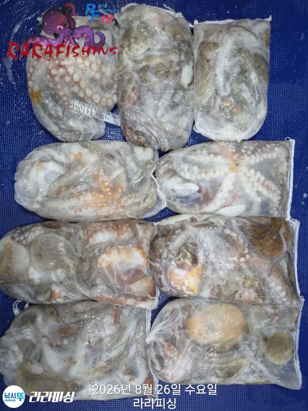 낚시뚜,돌문어,속천항(진해),라라피싱,낚시뚜0