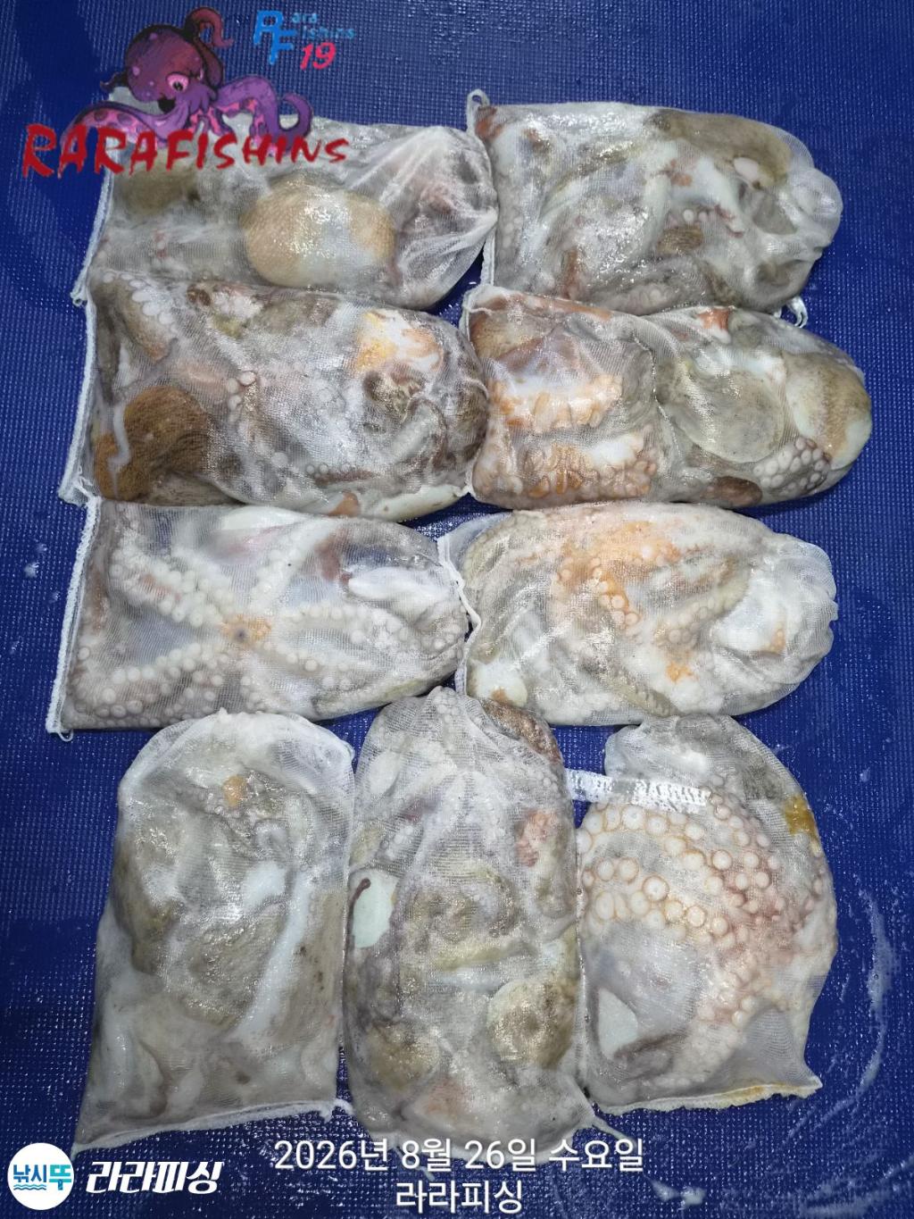낚시뚜,돌문어,속천항(진해),라라피싱,낚시뚜15