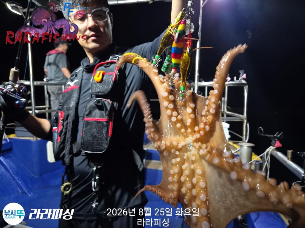 낚시뚜,돌문어,속천항(진해),라라피싱,낚시뚜6