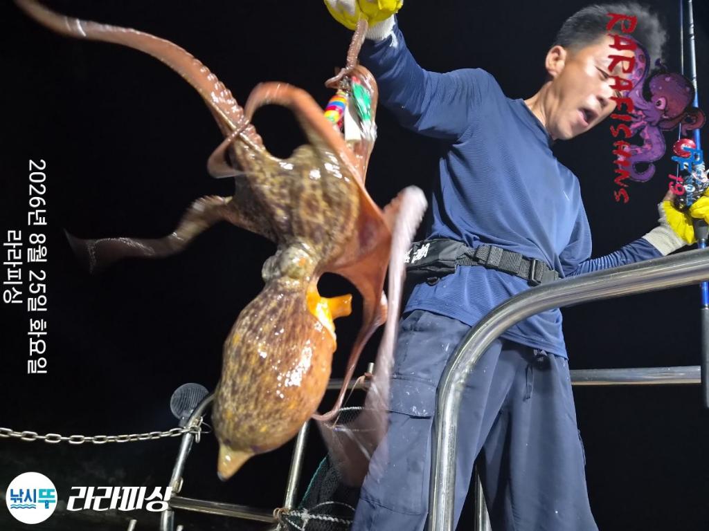낚시뚜,돌문어,속천항(진해),라라피싱,낚시뚜3