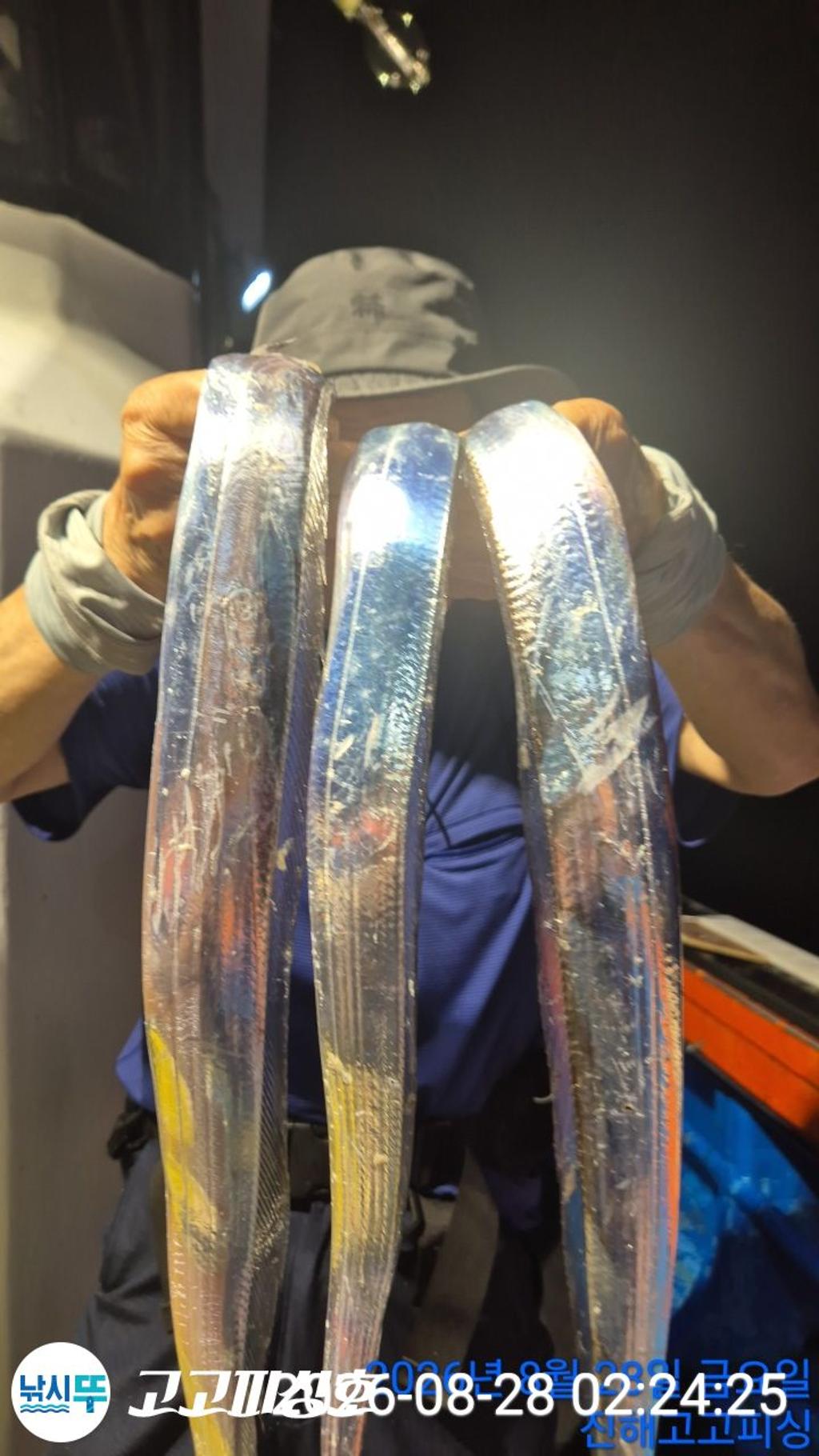 낚시뚜,갈치,속천항(진해),고고피싱호,낚시뚜0
