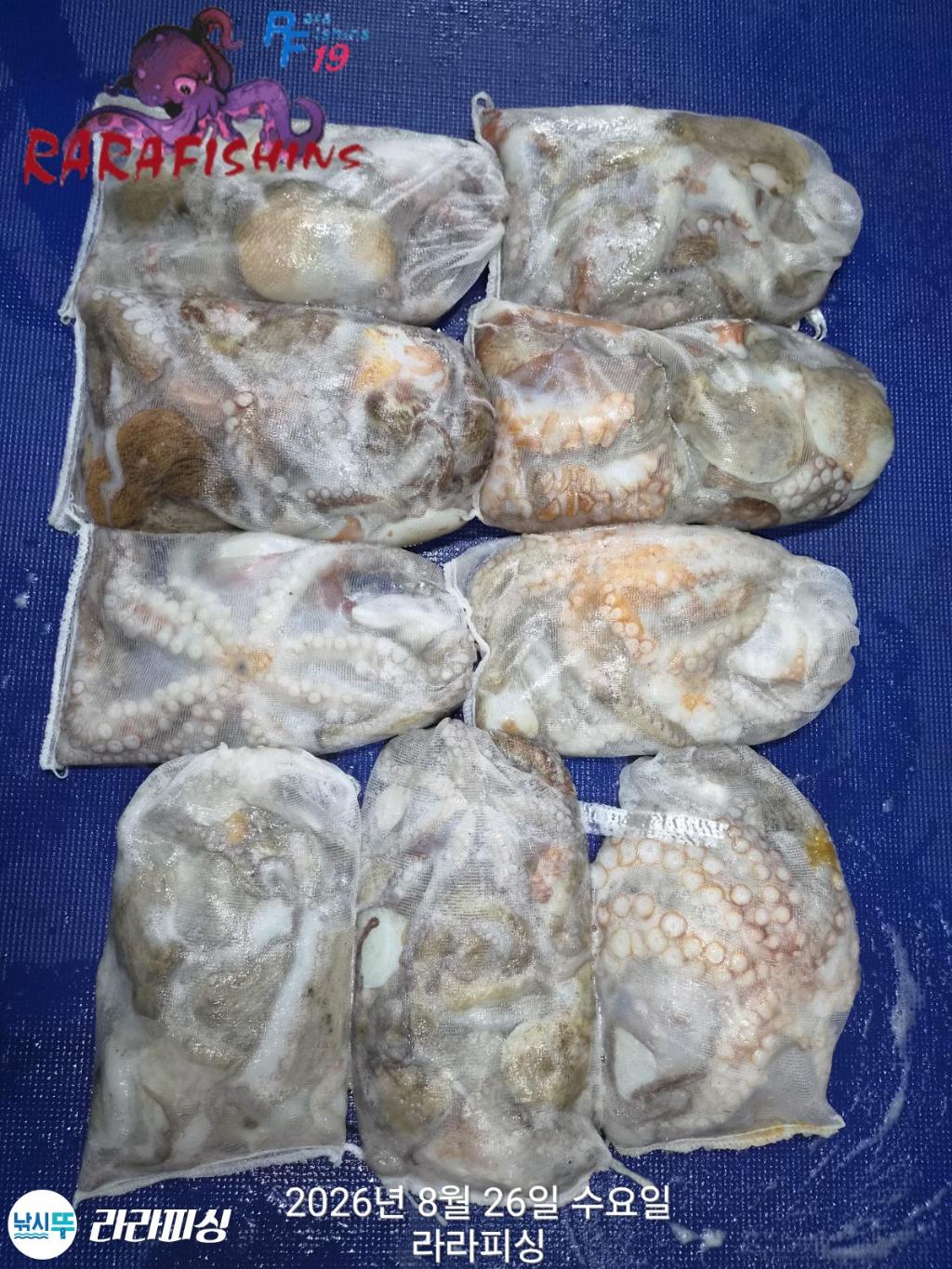 낚시뚜,돌문어,속천항(진해),라라피싱,낚시뚜14