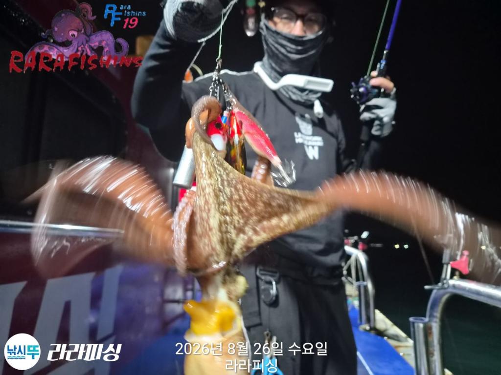 낚시뚜,돌문어,속천항(진해),라라피싱,낚시뚜3