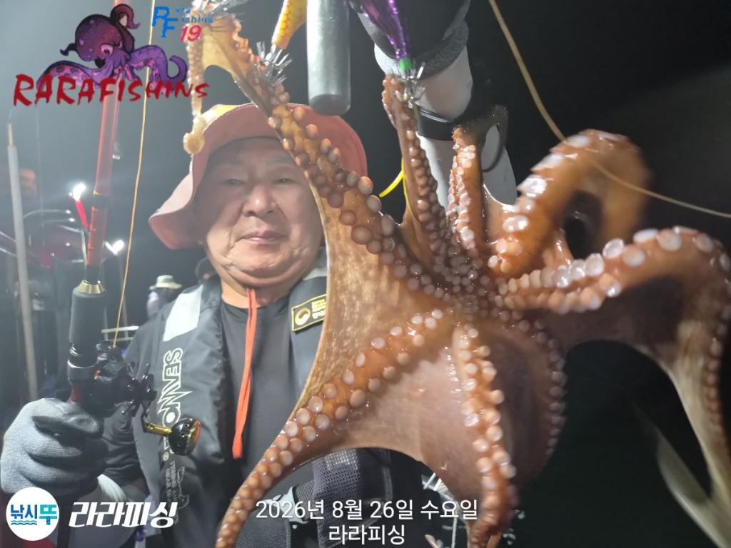 낚시뚜,돌문어,속천항(진해),라라피싱,낚시뚜2