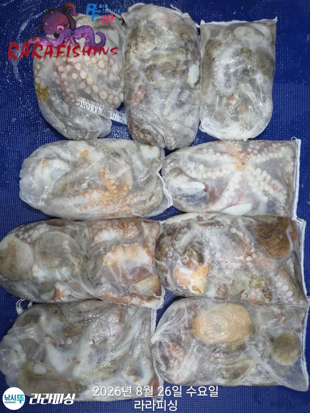 낚시뚜,돌문어,속천항(진해),라라피싱,낚시뚜1