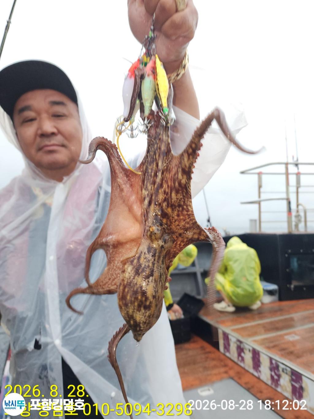낚시뚜,돌문어,영일만항,포항 킹덤호,낚시뚜10