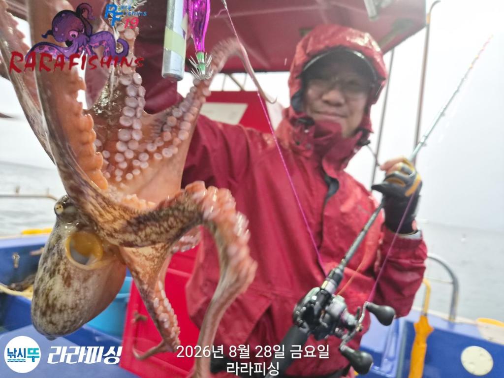 낚시뚜,돌문어,속천항(진해),라라피싱,낚시뚜11