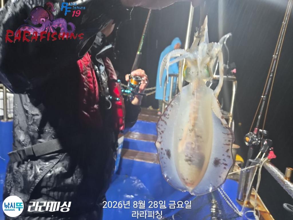 낚시뚜,돌문어,속천항(진해),라라피싱,낚시뚜5
