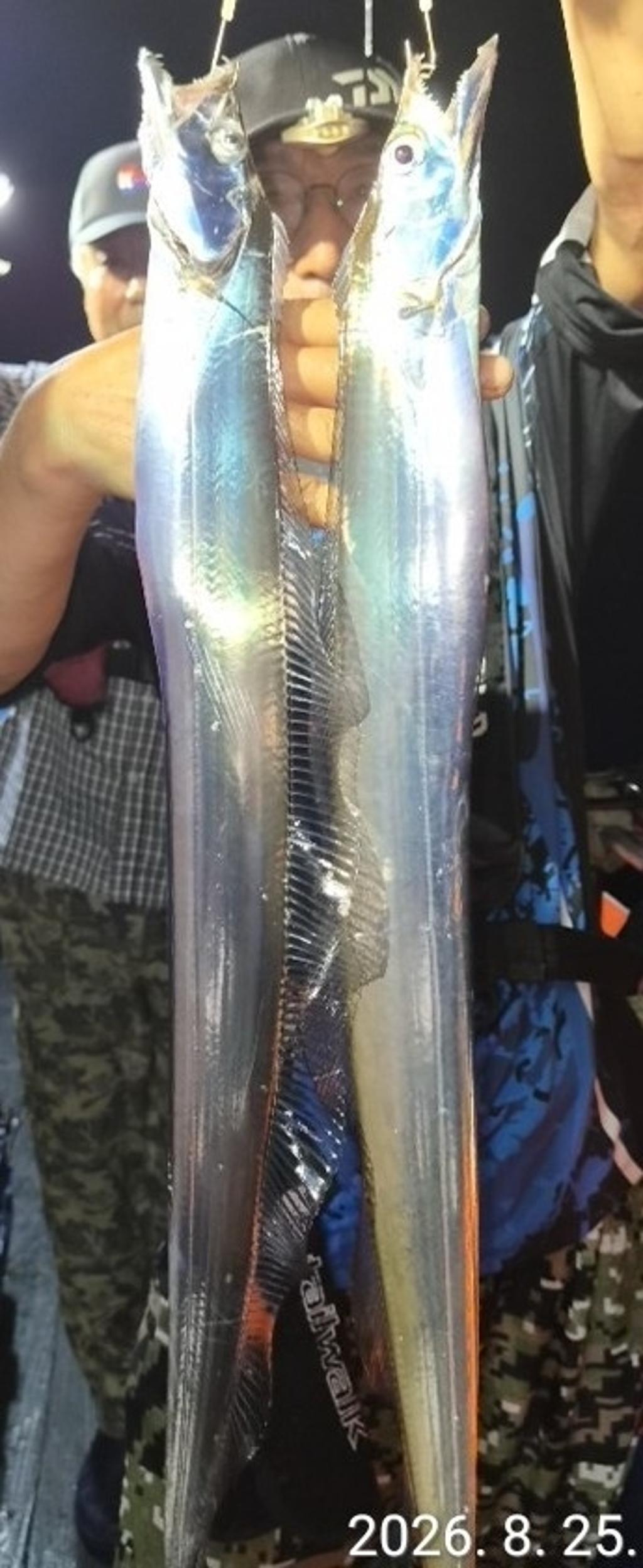 낚시뚜,갈치,삼포항,삼포대교낚시,낚시뚜6