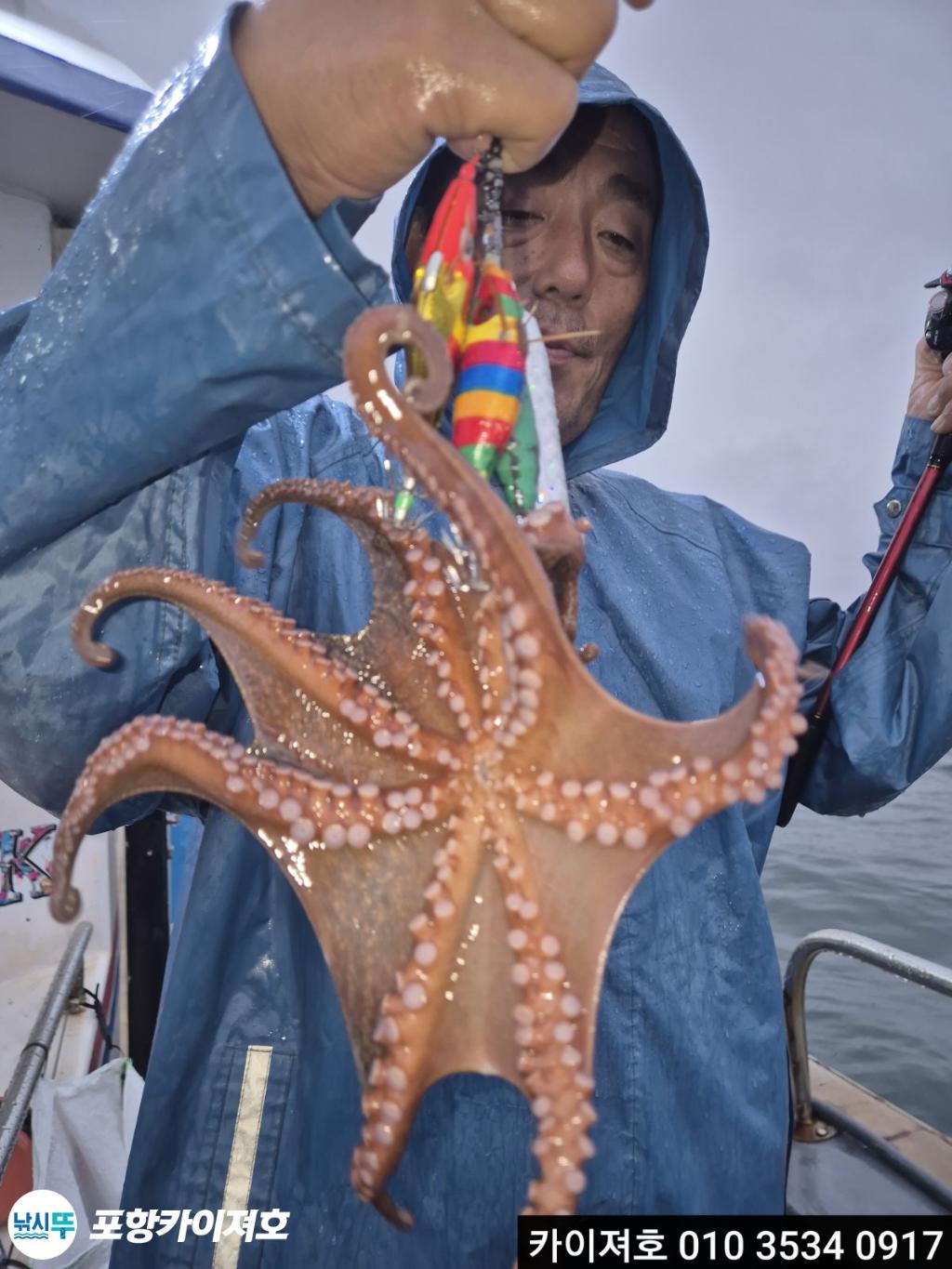 낚시뚜,돌문어,영일만항,포항카이져호,낚시뚜6
